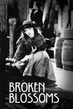 Broken Blossoms – Kırık Tomurcuklar