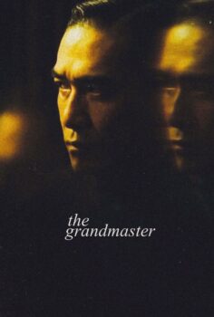 The Grandmaster – Büyük Usta