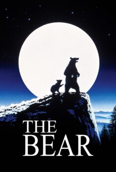 The Bear – Ayı