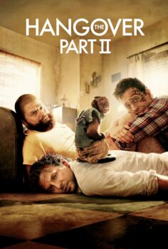 The Hangover 2 – Felekten Bir Gece 2