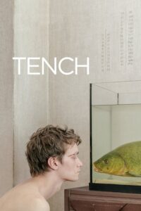 Muidhond – Tench