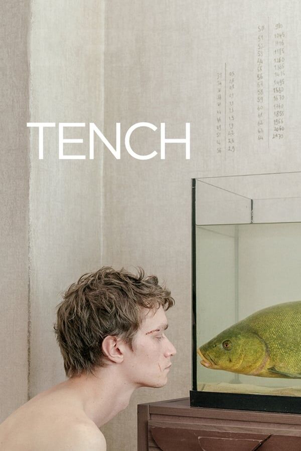 Muidhond – Tench