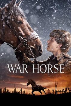 War Horse – Savaş Atı