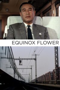 Equinox Flower – Ekinoks Çiçeği
