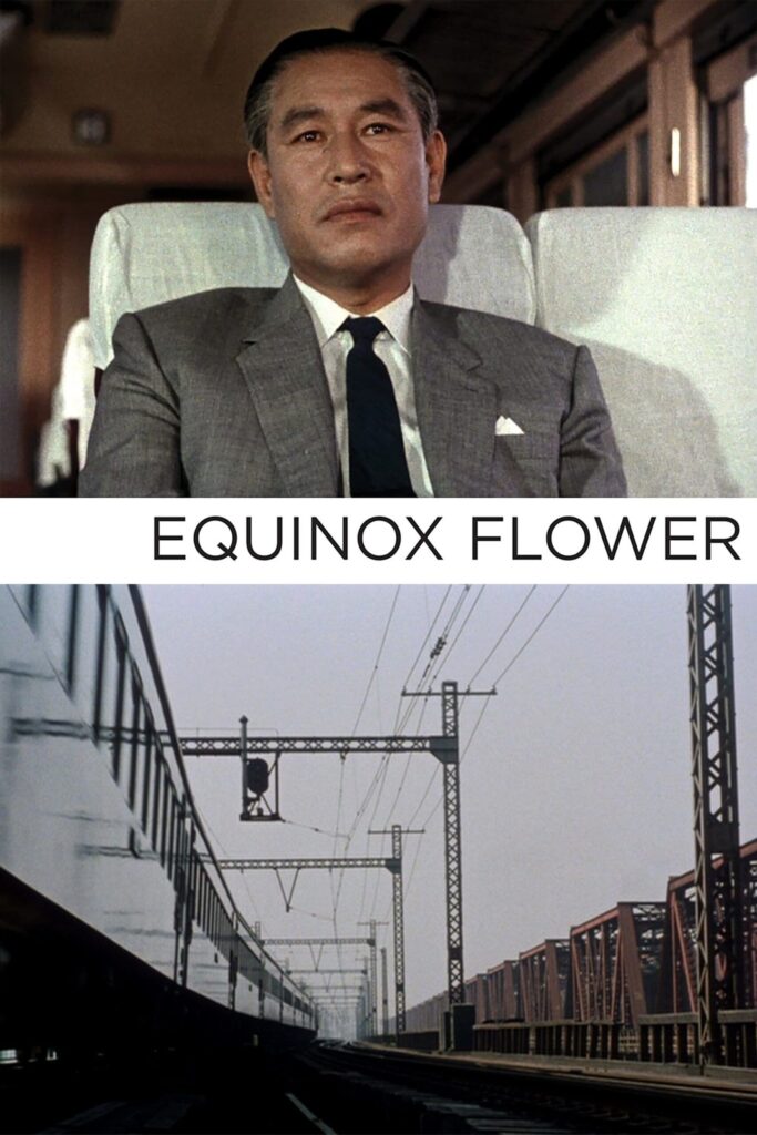 Equinox Flower – Ekinoks Çiçeği