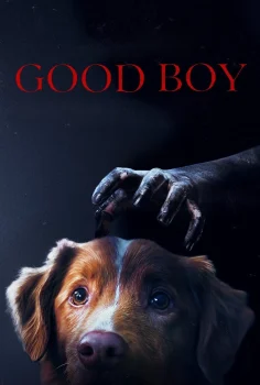 Good Boy